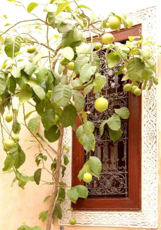 Riad Dar Rania Marrakech Medina Jemaa El Fna Marrakesh Extérieur photo